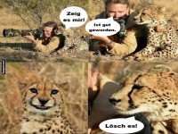 Fotoshooting: Cheetah Edition