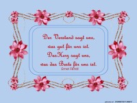 Der Verstand sagt uns