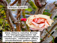 des alters reiche ernte