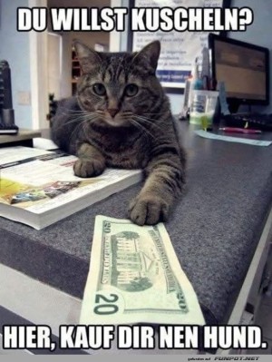 Katzenlogik-101:-Hunde-sind-zum-Kuscheln-da!.jpg auf www.funpot.net