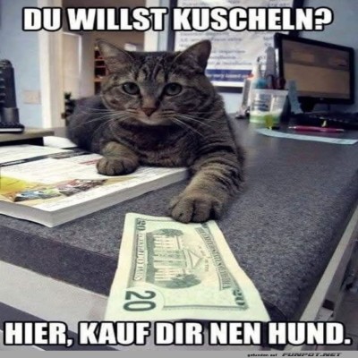 Katzenlogik-101:-Hunde-sind-zum-Kuscheln-da!.jpg von Schwesterchen