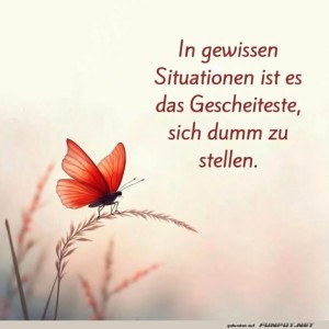 Der-kluge-Schmetterling-von-nebenan.jpg von Tobias-1995