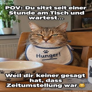 Zeitumstellung-und-hungrige-Katzenproblem.jpg von Elijas1995