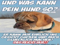 Und was kann dein Hund so