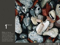 Bilddestages 14-02-01