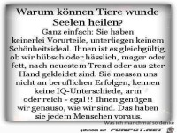 Warum k�nnen Tiere wunde Seelen heilen...