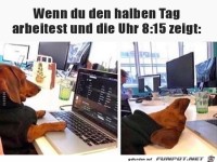 Wie z�h das wieder ist