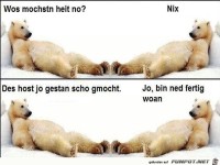 wos mochst du do