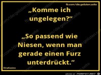 komm ich ungelegen