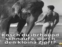 Gute Frage