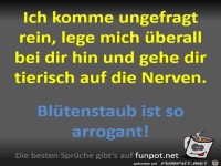 Bl�tenstaub ist so arrogant