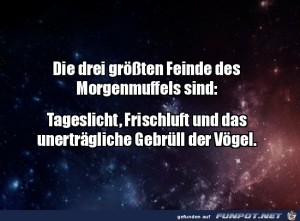Feinde-des-Morgenmuffels.jpg auf www.funpot.net