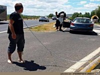 Wenn Tiere wie Menschen wären