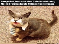 Ich brauche eine Gehaltserh�hung