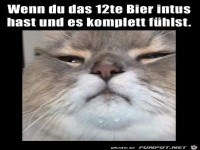 Ganz sch�n bedient