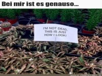 Das geht mir �hnlich