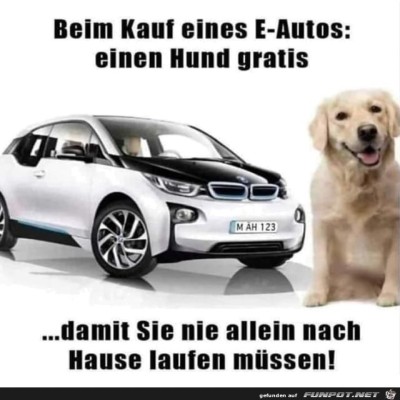 Gratis-Hund.jpg von Keule56