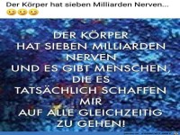 Der K�rper