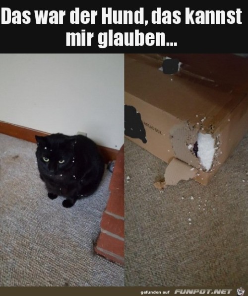 Das-war-der-Hund.jpg auf www.funpot.net