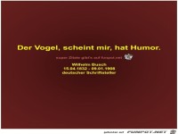 Der Vogel, scheint mir, hat Humor