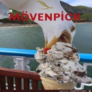 fun-Bild: Möwe klaut Eis