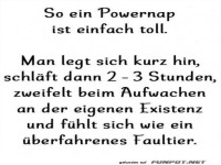 Powernap: Die Zeitreise zum Faultier!