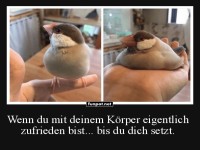 Vogel-Pose des Jahres!