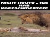 weiter