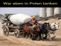 Mit PS in Polen: Pferdest�rken pur!