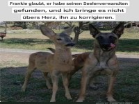 Seelenverwandte im Tierreich