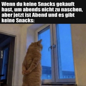 fun-Bild: Nachdenklicher Kater bei Snack-Dilemma