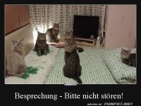 Bitte nicht st�ren