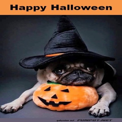 Halloween.jpg von Sahneschnitte