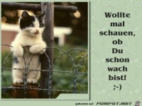 Wollte mal schaun