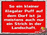 so ein kleiner illegaler...