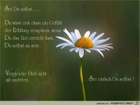 sei-einfach-du-selbst-4494c80a-cdef-4814-a34f-023db6d9c710