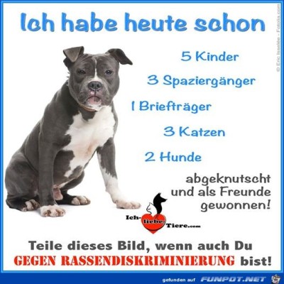 Hund.jpg von wurm