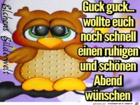 Guck guck