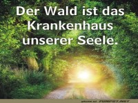 Der Wald ist das Krankenhaus