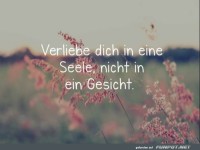 Verliebe dich in eine Seele