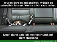 nichts zu verheimlichen