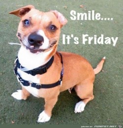 Freitag.jpg auf www.funpot.net