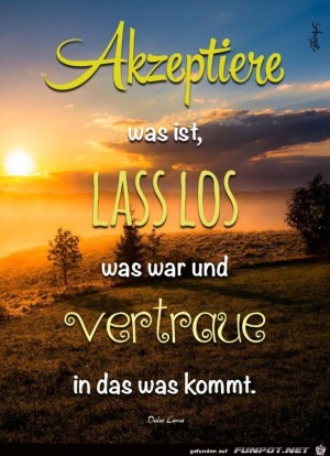akzeptiere-was-ist.jpg auf www.funpot.net