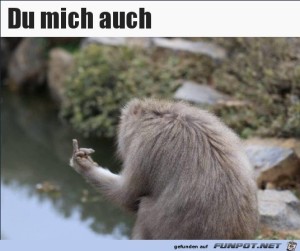 Du-mich-auch.jpg auf www.funpot.net