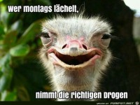 wer Montags l�chelt, nimmt die richtigen Drogen