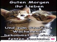 Guten Morgen