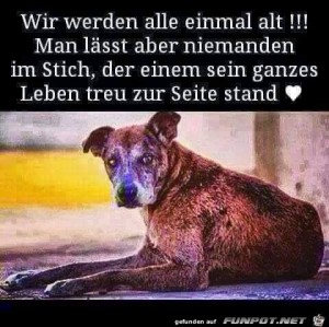 Man-l�sst-niemanden-im-Stich.jpg auf www.funpot.net