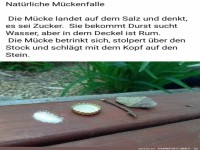 Nat�rliche M�ckenfalle