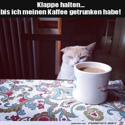 Klappe-halten.jpg von Brenda