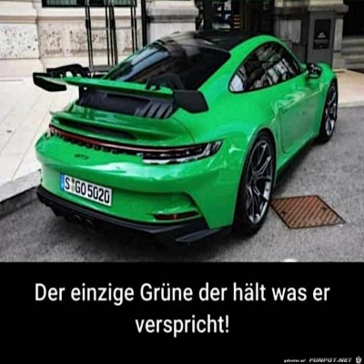 Gr&uuml;ner.jpg von Leya